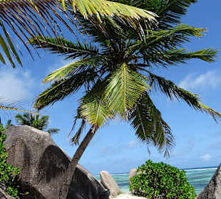 La Digue
