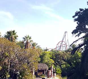 Port Aventura
