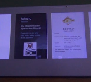 Meeresmuseum Stralsund