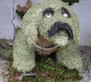 Wandern Annaberg im Lammertal