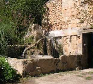 2. Bild Brunnen