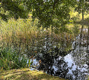 Schluchsee