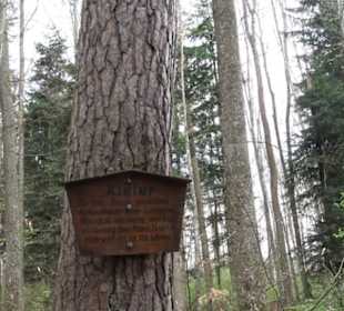 Vitus Mayer Waldlehrpfad