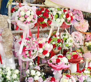 40 Rosen für 1.- €