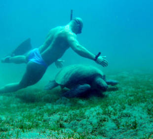 Wer ist der stärkere?