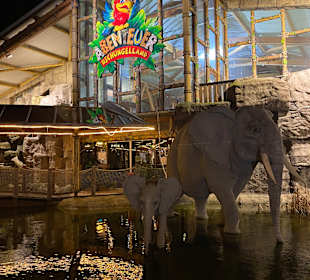 Abenteuer Dschungelland