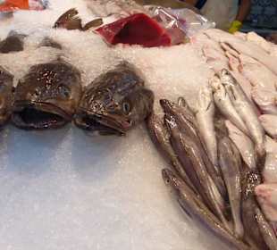 Markthalle: Die Fisch- und Meeresfrüchteabteilung