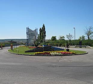 Mörbisch am Neusiedlersee - Blumenbeet