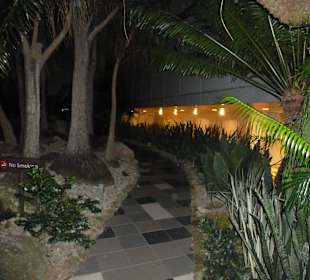 Ogród na dachu terminala