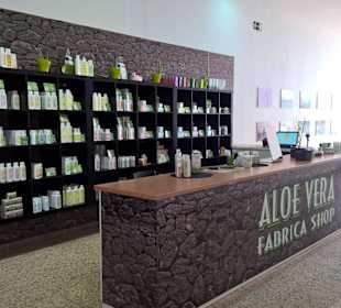 Aloe Vera Fresca Infocenter Teneriffa -  Chasna