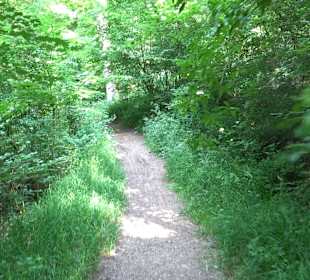 Rundwanderung Klingenbachtal - Sulzbachsee