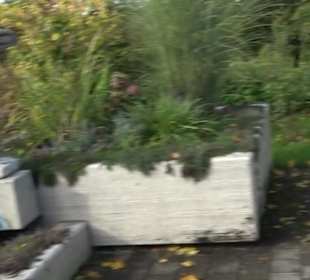 Stadtrundgang Tettnang