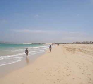 Strandläufer