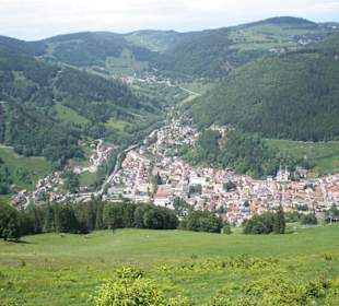 Aussicht vom Hasenhorn auf Todtnau