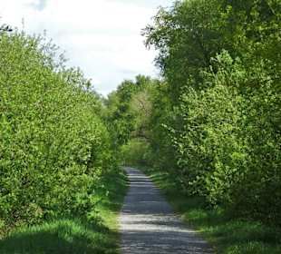 Impressionen vom Bederkesaer See