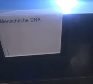 Museum für Naturkunde