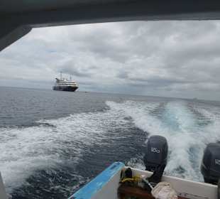 Mit voll Power zurück