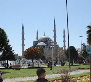 Blue Mosque