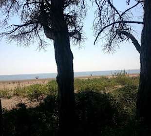 Fuß-/Radweg bis zum Leuchtturm