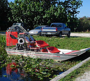 Ausflug in die Everglades