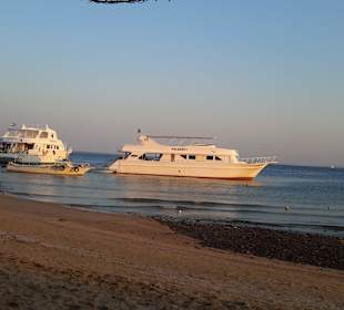 Beide Schiffe der Basis (El Prince Ali, Volkert 1)