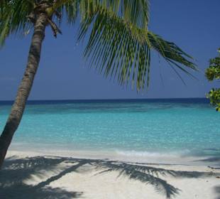 Island Hopping