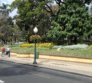 Blick auf den Jardim Municipal von Funchal