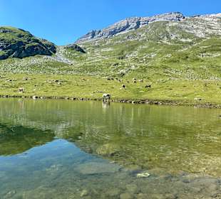 Wandern Schladming