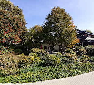 Chinesisches Teehaus im Luisenpark