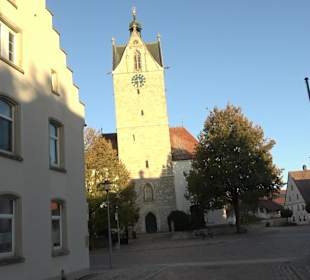 Skulptur Heiliger St. Martin mit den Gänsen Althei