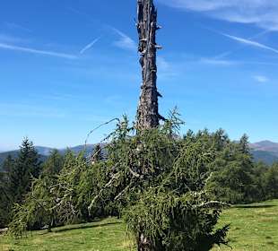 Wandern Hochrindl/Sirnitz