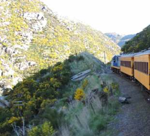 Mitder Taileri Railway durch die Natur Neuseelands