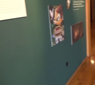 Museum der Alltagskultur