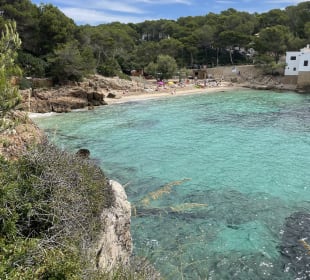 Cala Agulla/ Cala Guya