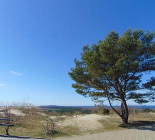 Dünenlandschaft auf der Kurischen Nehrung b. Nida