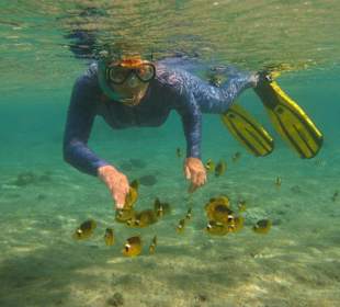 Schnorchlerin am Hausriff Hotel Carnelia Beach Resort