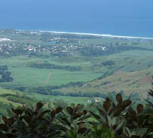 Black River Gorges NP