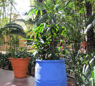 Jardin Majorelle