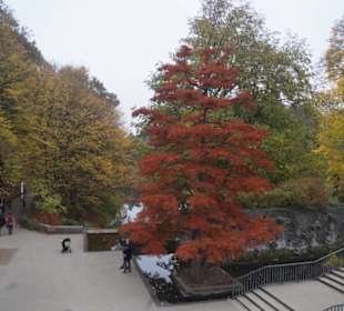 Parkanlage Planten un Blomen