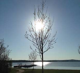Altmühlsee