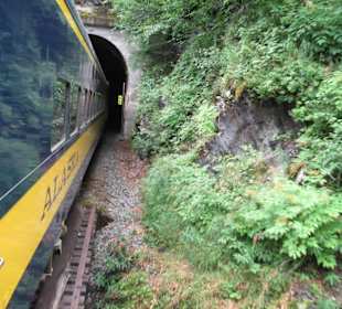 Auf dem Weg zu den Gletschern