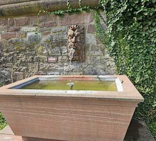 Schlossgarten mit Brunnen