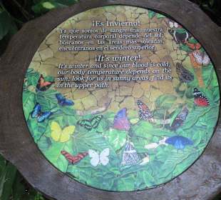 Xcaret