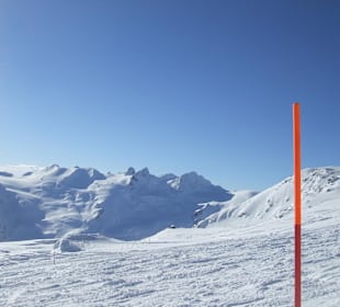 Blick vom Corvatschgipfel hinüber zur Bernina