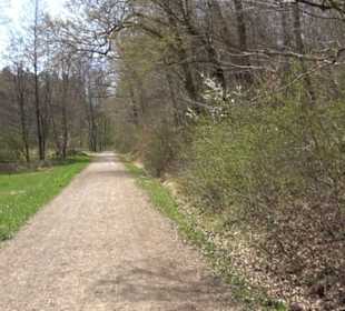 Spazierweg Ritter Museum
