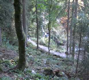 Triberger Wasserfälle