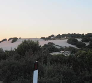 Le dune bianche