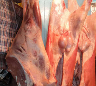 Starówka w Essaouira