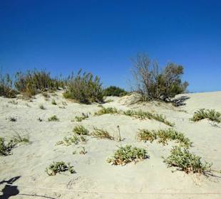 Impressionen Elafonisi