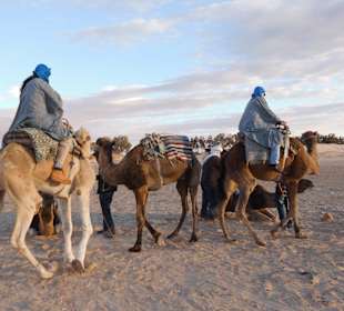 Auf Kamelen dem Sonnenuntergang entgegen